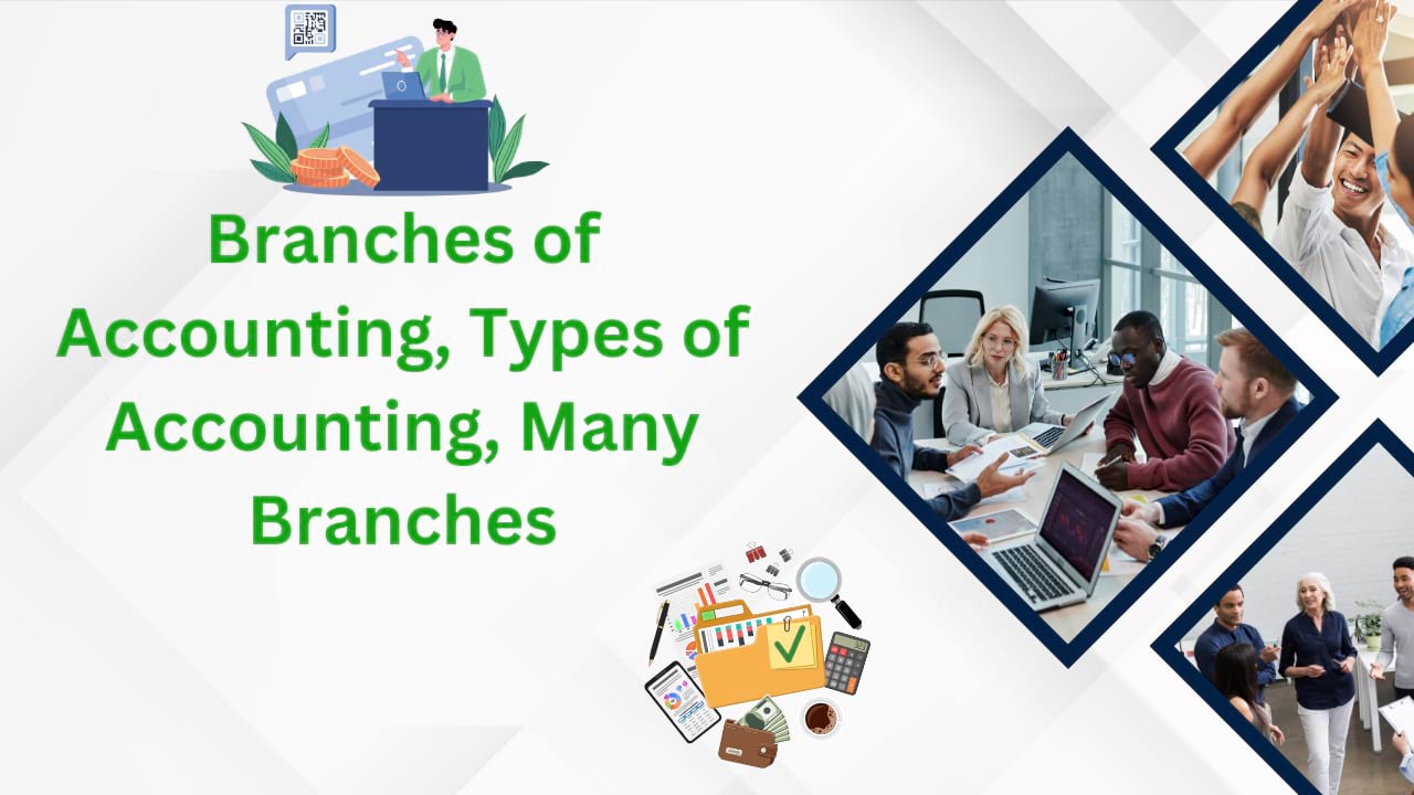 Branches of Accounting