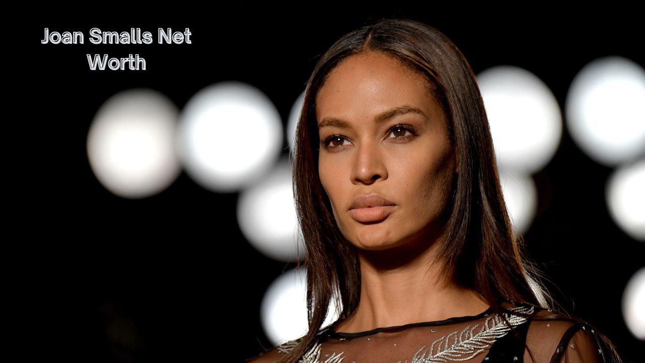 Joan Smalls Net Worth